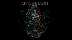 meshuggah born in dissonancenuevo new letra tema song track lyric band banda death thrash djent metal videos metalzone