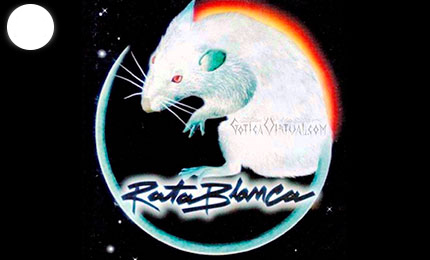 afiche rata blanca economico poster bonito bandas envios bogota cali armenia santander quindio pereira colombia